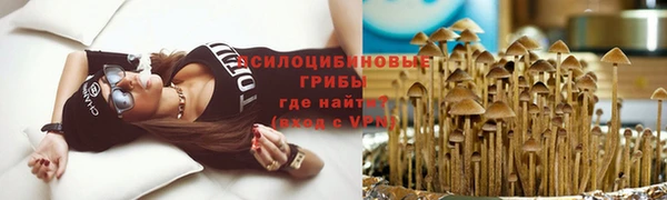 ешки Абдулино