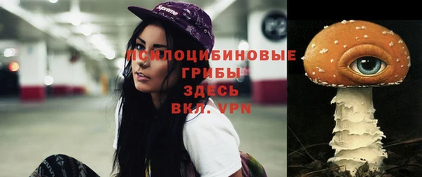 2c-b Алексеевка