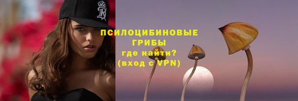 2c-b Абаза