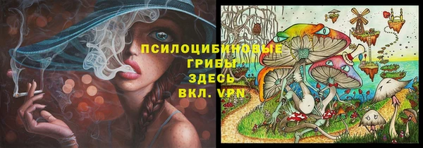 эйфоретик Абинск