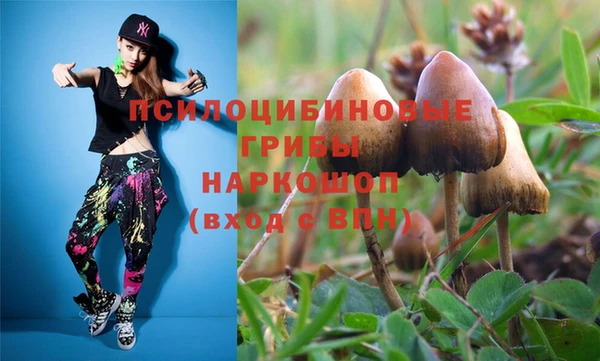 ешки Абдулино