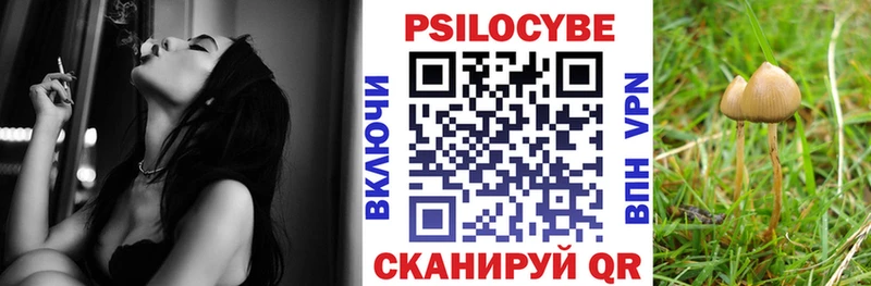 купить наркотики сайты  Рязань  Галлюциногенные грибы Psilocybine cubensis 